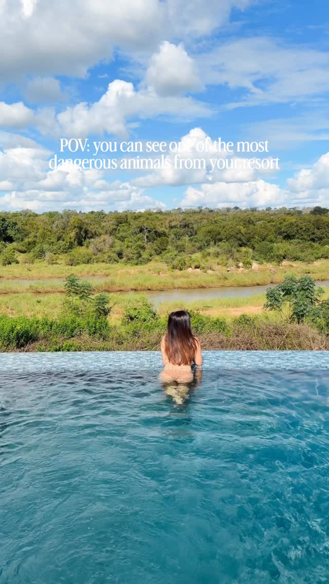 Did you know Mosquitoes and Humans are considered the most dangerous animals in the world? 🦟😅 And Hippos are considered Africa’s most dangerous large land mammal 🦛 They may look all silly and friendly, but they’re incredibly territorial and can weigh anywhere from 3,000 to 6,000 lbs‼️

I had the perfect view of the hippos from the pool at @leopardsandskrugerpark , and it was so cute watching them blow bubbles in the water 🫧 They spend most of the day submerged, so you can safely enjoy spotting them from a distance at Leopard Sands 🤎 and there was no mosquitoes in sight, so it was a great stay 😊