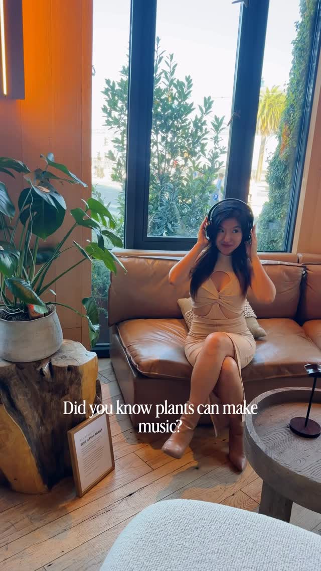 Turns out plants can DJ too 🌿🎶 Today’s the last day to check out @1hotel.sanfrancisco PlantWave Listening Lounge, where tiny electrical changes in living plants are turned into music in real time. Pop on some headphones, get comfy, and let nature take over the playlist 😌 such a nice way to decompress after SF Tech Week and Fleet Week! 💆🏻‍♀️

📍 Terrene Lounge, 1 Hotel San Francisco
🗓 October 11
⏰ 10am–2pm & 4pm–7pm

Send this to someone who’d love this little moment of calm 💚

Follow @traveljeanieous for more gems around the world 🌍
