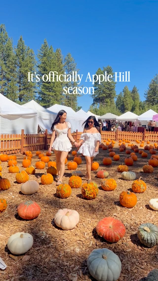 🎃🍂🍁☕️👯‍♀️ Can’t believe it’s autumn already!! My second-favorite season and the perfect excuse for a girls’ day filled with apple cider, pumpkin spice donuts, apple fritters, and all the fall goodies 🎃☕️👯‍♀️

If you haven’t been, Apple Hill is a collection of cute farms and orchards near each other, so you can spend the day hopping between stops for treats, pumpkins, and all the cozy fall vibes 🍁🚜

📍Apple Hill, California - about an hour outside Sacramento 

Save this for your next fall day trip and send it to the friend who’s coming for the donuts 🍩

Follow @traveljeanieous for more places to discover! 🌍✈️
