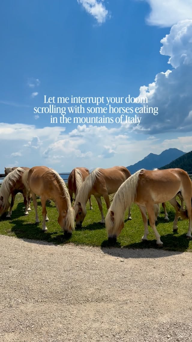 If you needed a sign to pause your scrolling… this is it 🐴💛

I was on a hike in the Italian Alps when all of a sudden these Haflinger horses showed up and started grazing! Watching them was so therapeutic ☺️

📍 South Tyrol, Italy
🚠 Accessible by cable car
🥾 Perfect for hiking, mountain views, and slowing down.

💾 Save this for your Italy bucket list and follow @traveljeanieous for more travel inspo