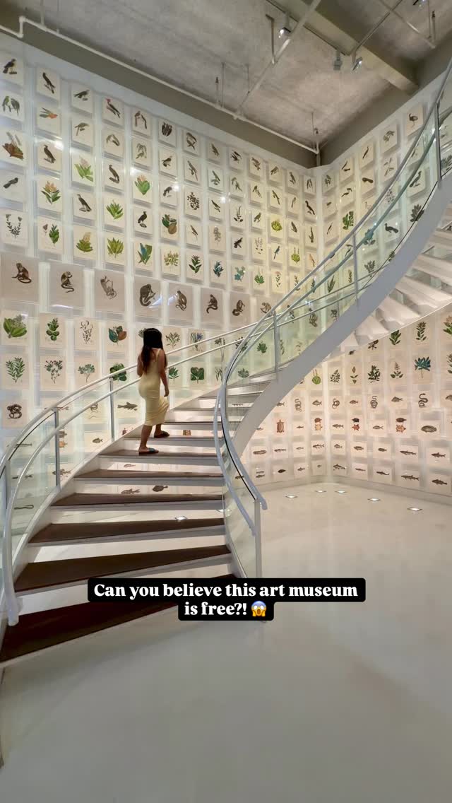 One of the best free museums in São Paulo that most tourists miss 🇧🇷✨ and the staircase is shaped like DNA 🧬 

Located inside Itaú Cultural on Avenida Paulista, Espaço Olavo Setubal is a permanent exhibition that walks you through over 500 years of Brazilian history through rare maps, colonial paintings, manuscripts, coins, and even gold bars 🖼️

It’s part art gallery, part history lesson, part hidden gem. And yes… it’s completely free 💸

If you’re looking for:
✔️ Things to do in São Paulo
✔️ Free museums on Avenida Paulista
✔️ Cultural attractions in São Paulo Brazil
✔️ Hidden gems in São Paulo
Add this to your list 📝